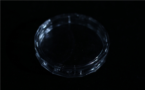 Transparent plastic box